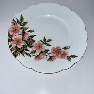 Set of 4 Haviland & Co Limoges hand painted plates